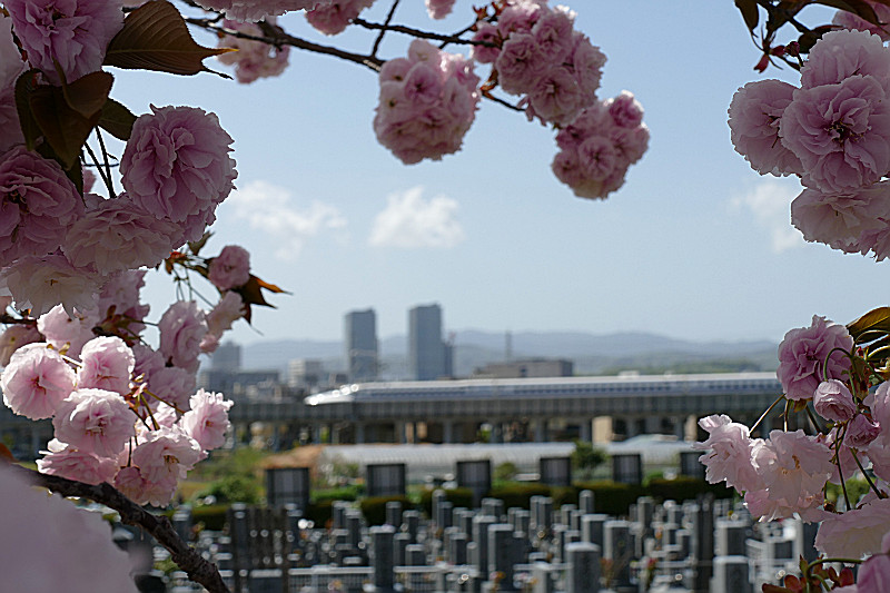 高槻中央霊園